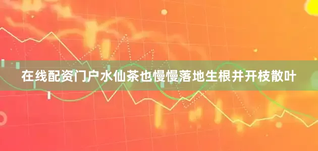 在线配资门户水仙茶也慢慢落地生根并开枝散叶